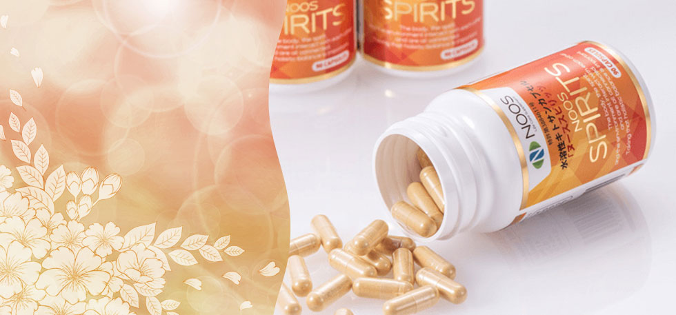 ヌーススピリッツ