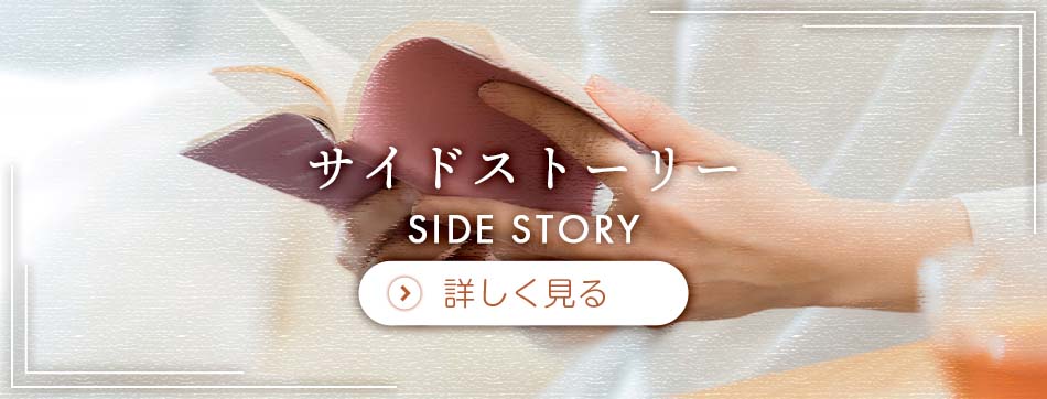 サイドストーリー